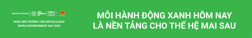 hinh-anh-moi-truong